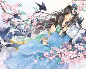 蘑菇屋在线观看完整版